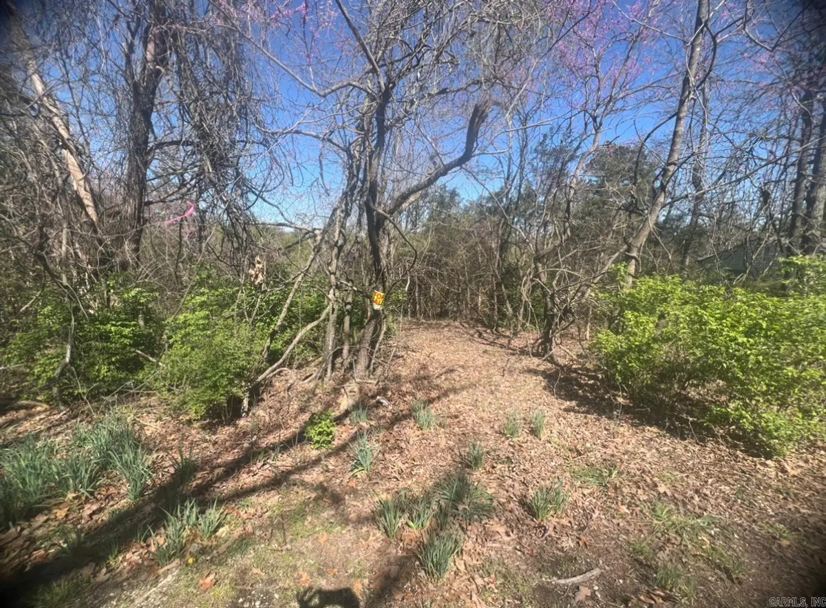 Address Withheld By Seller, Horseshoe Bend, AR 72512 - Image #1