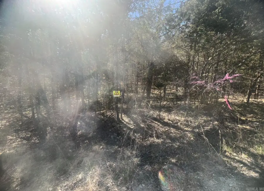 Address Withheld By Seller, Horseshoe Bend, AR 72512 - Image #2