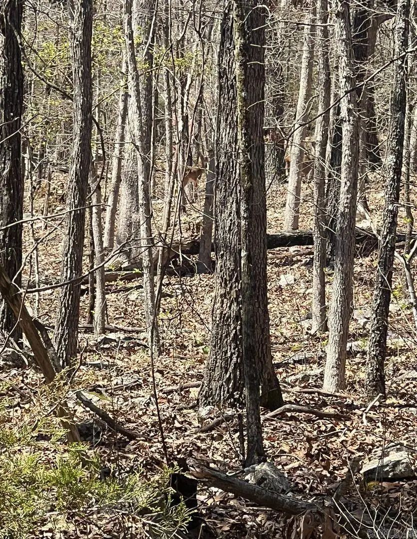 Address Withheld By Seller, Horseshoe Bend, AR 72512 - Image #1