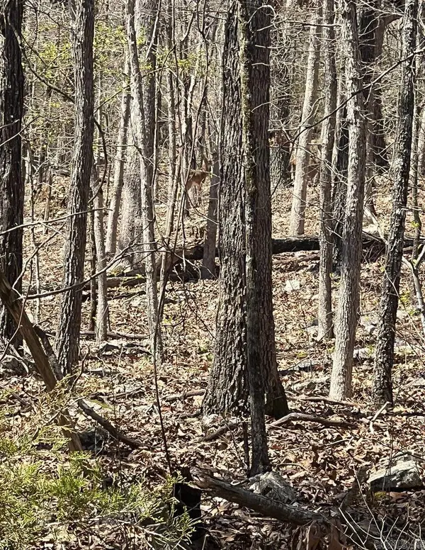 Address Withheld By Seller, Horseshoe Bend, AR 72512