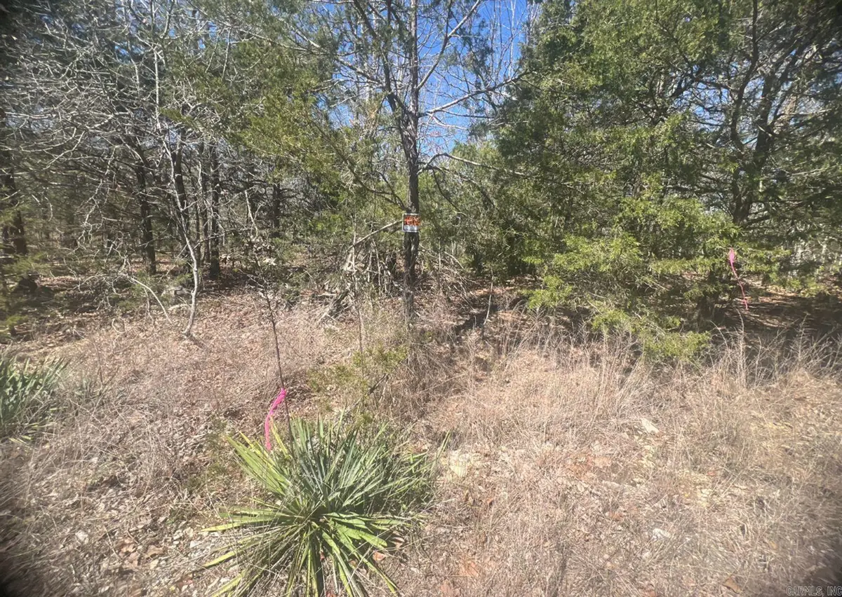 Address Withheld By Seller, Horseshoe Bend, AR 72512 - Image #1