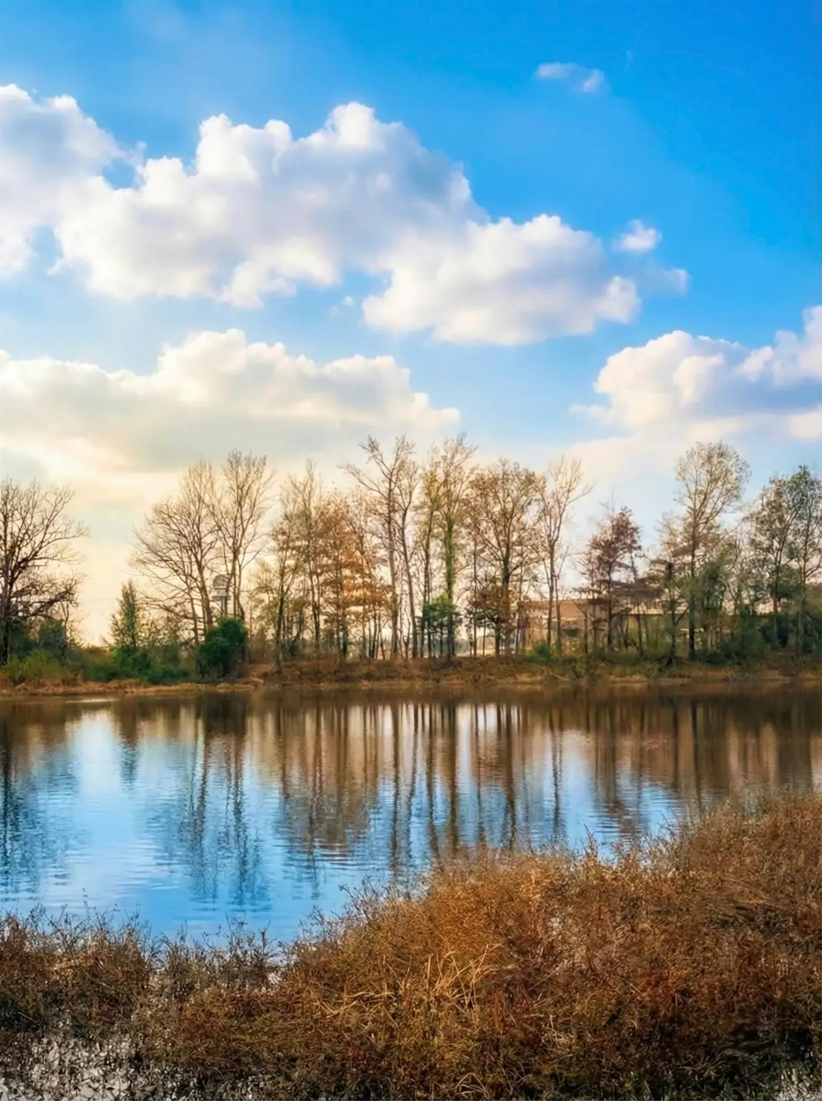 00 Sun Vista, Cabot, AR 72023 - Image #1