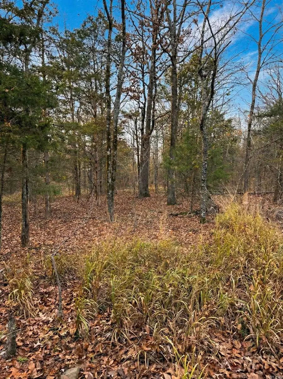 00 Sun Vista, Cabot, AR 72023 - Image #3