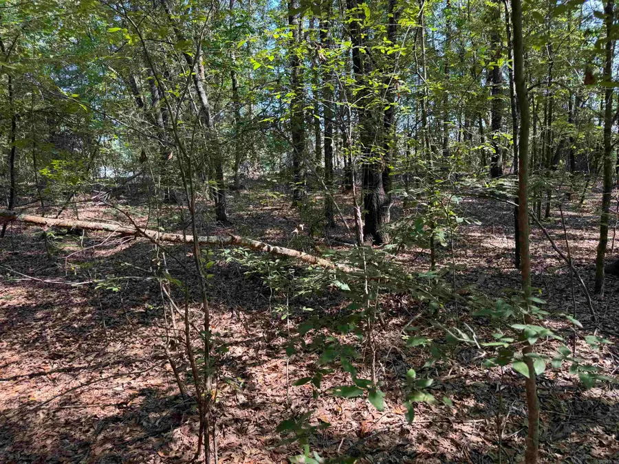 00 Calvary Circle, Lonoke, AR 72086 - Image #2