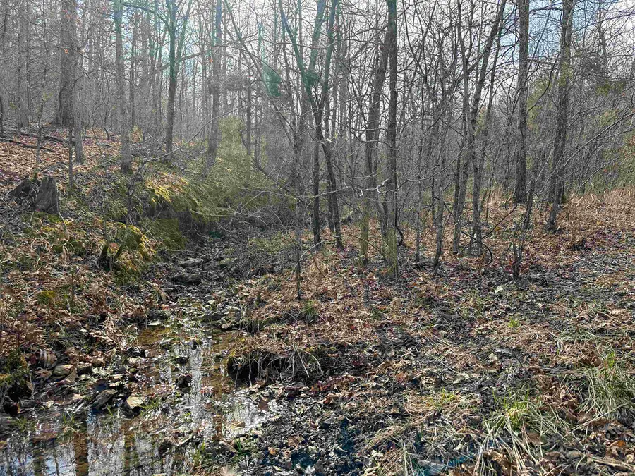 XX N Summit Ridge Drive, Williford, AR 72482 - Image #2