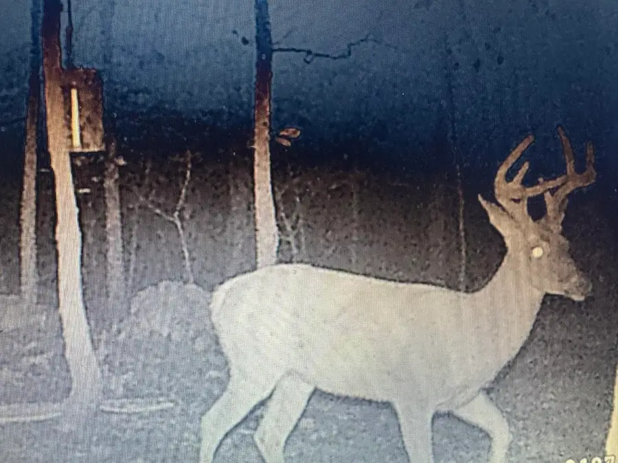 XX N Summit Ridge Drive, Williford, AR 72482 - Image #3