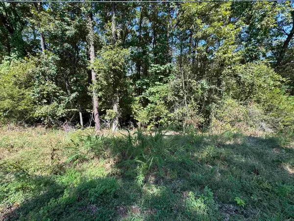 Lot 51 Valhalla Drive, Edgemont, AR 72044