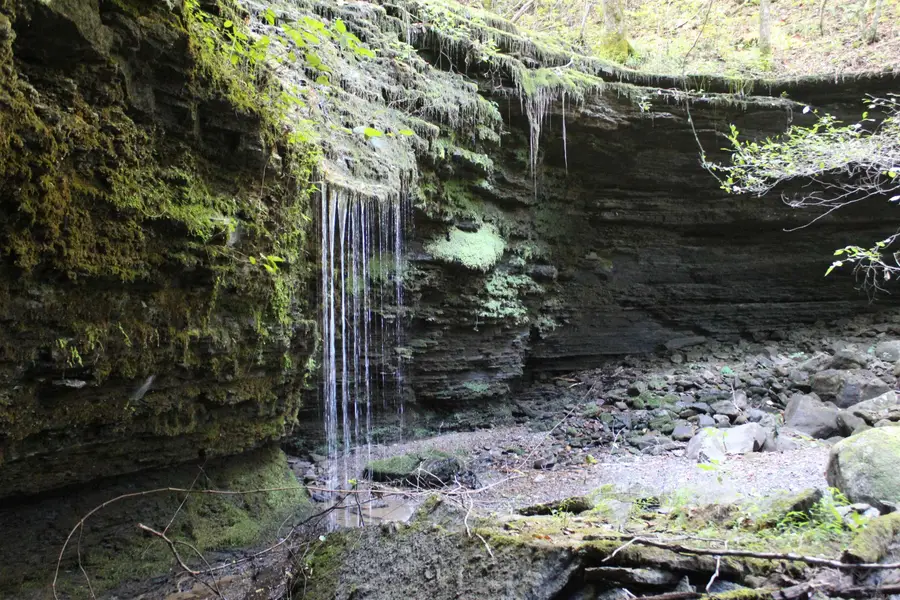 000 Greta Road, Clinton, AR 72031 - Image #2