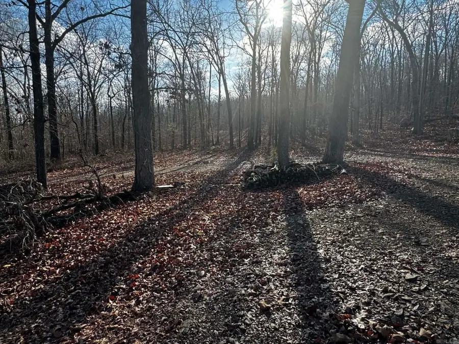 Address Withheld By Seller, Cabot, AR 72023 - Image #3