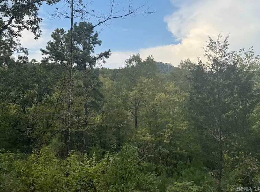 321 Plata Holw, Royal, AR 71968 - Image #3