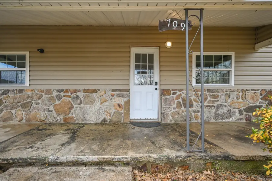 709 Ninth Street, Mena, AR 71953 - Image #3