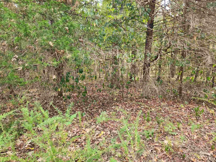 L24B3 Bokchito Drive, Cherokee Village, AR 72529 - Image #2