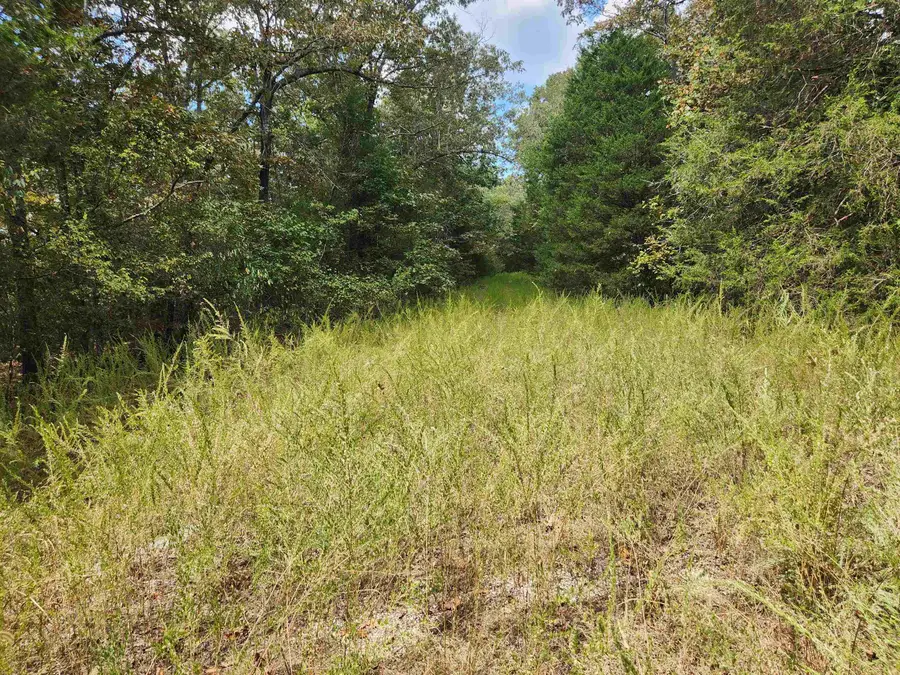 L24B3 Bokchito Drive, Cherokee Village, AR 72529 - Image #3