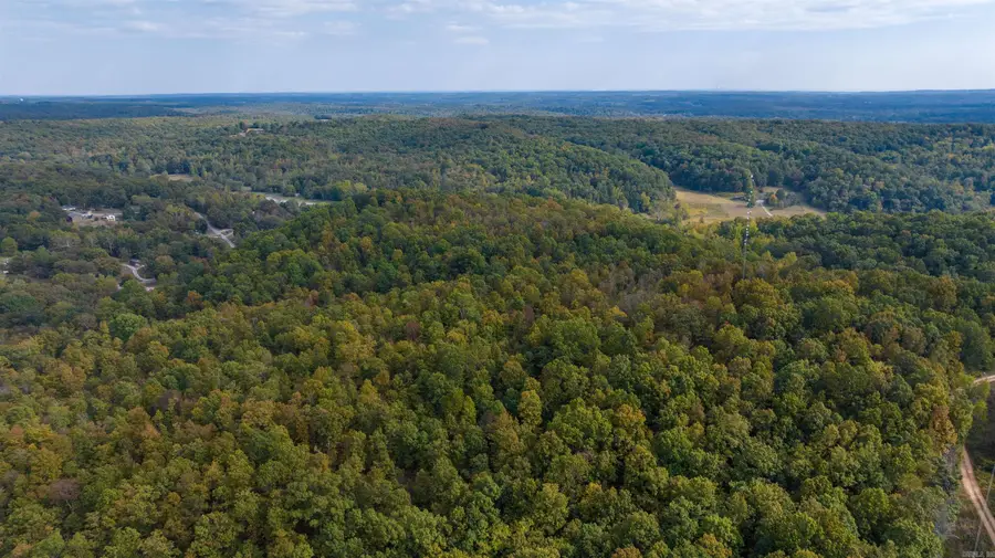 0 Grant Lane, Batesville, AR 72501 - Image #3