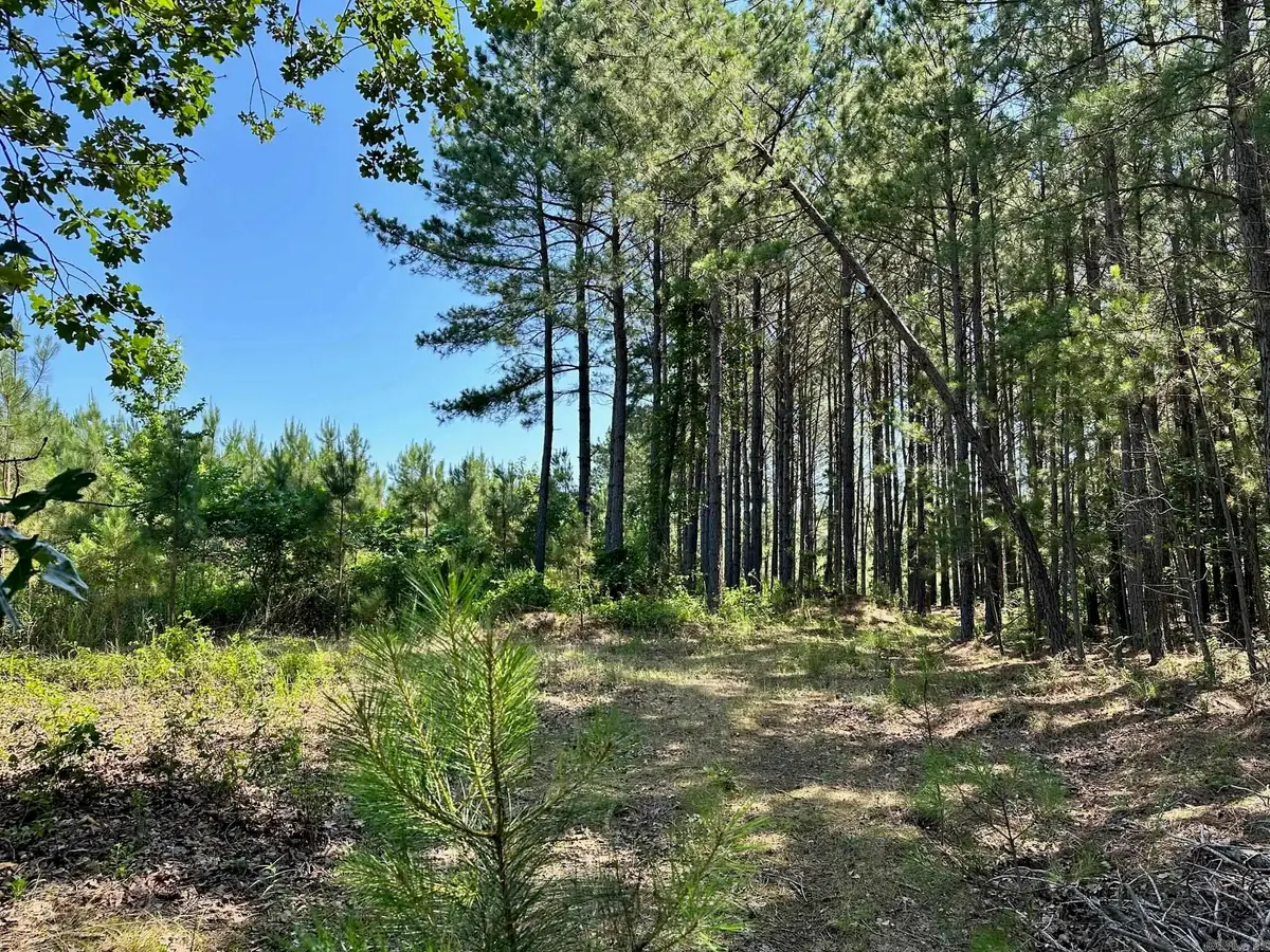 00 Caglesville Lane, Russellville, AR 72802 - Image #1