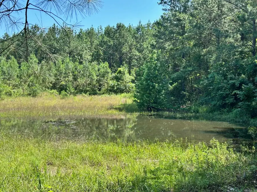 00 Caglesville Lane, Russellville, AR 72802 - Image #3