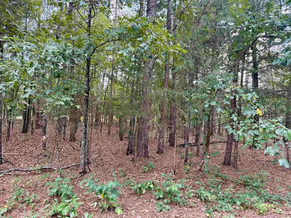 Lot 5 & 6 Ellen, Higden, AR 72067