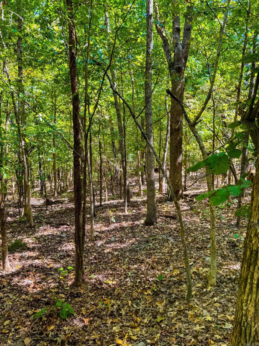 TBD Red Fox Rd, Hardy, AR 72542 - Image #3