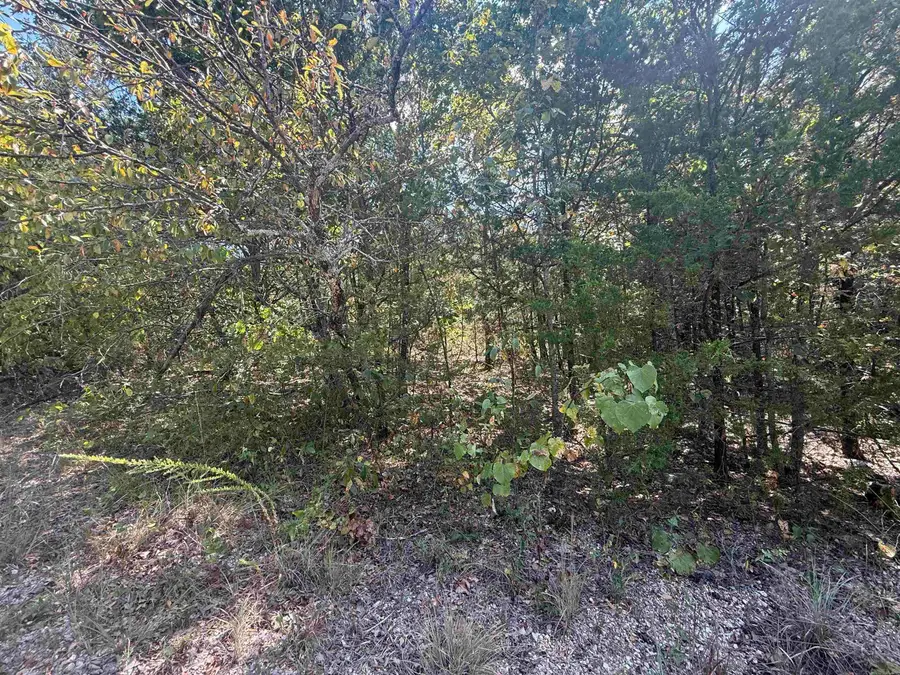 Lots 234 & 235 Loch Lomond, Mountain Home, AR 72653 - Image #3