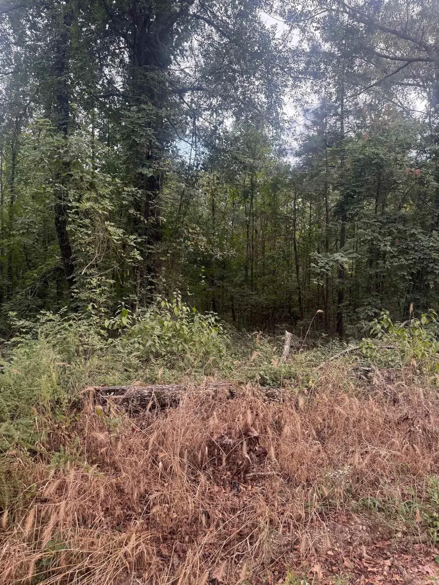 TBD Williams Cutoff Road, Bismarck, AR 71929 - Image #2