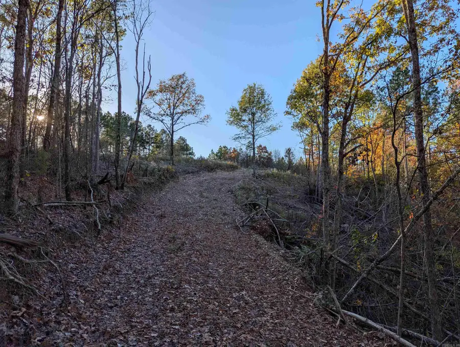 Lot 13 Polk Road 617, Mena, AR 71953 - Image #2