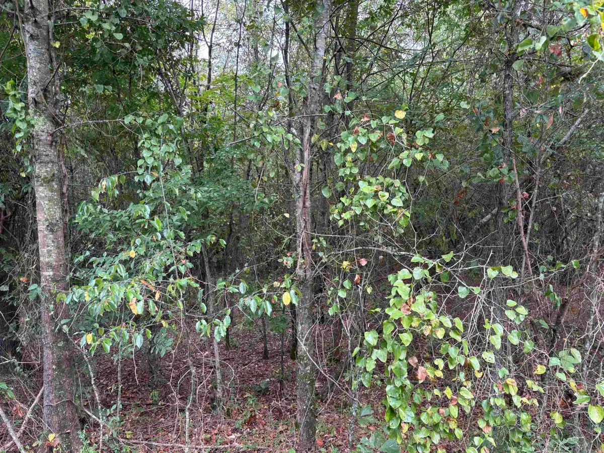 38 Baker Lane, Hattieville, AR 72063 - #1