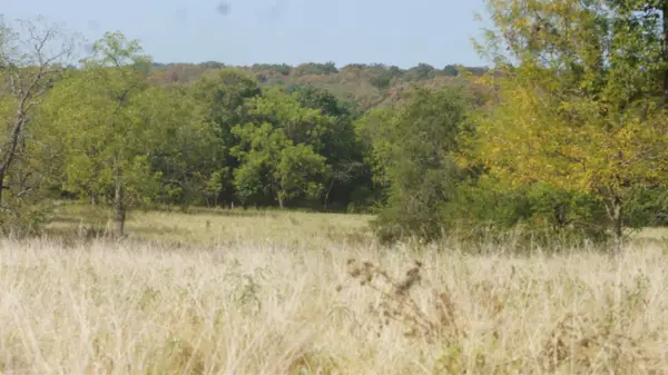 TBD Shiloh Road, Ash Flat, AR 72513