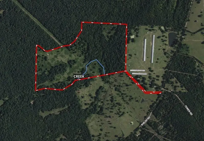 TBD Shiloh Road, Ash Flat, AR 72513 - Image #2