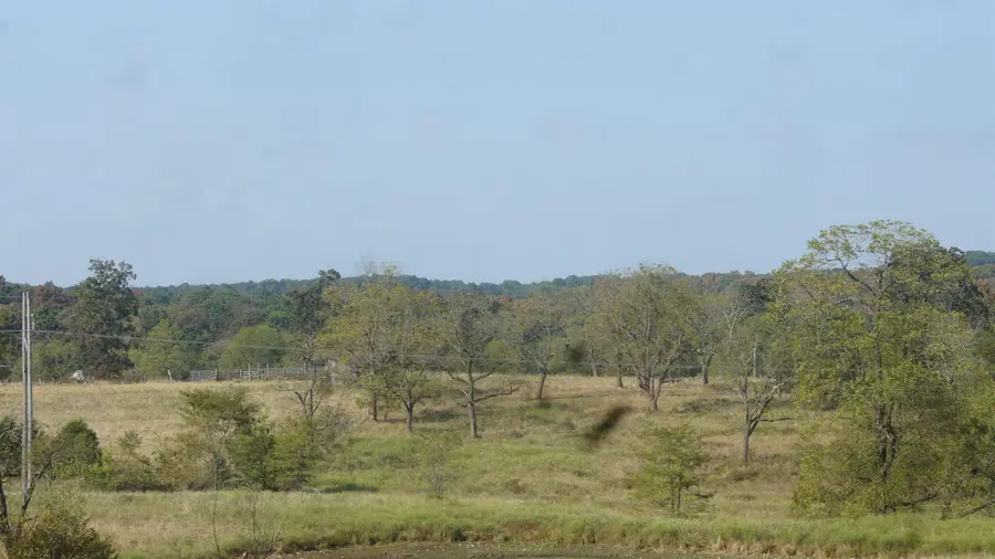 TBD Shiloh Road, Ash Flat, AR 72513 - Image #3