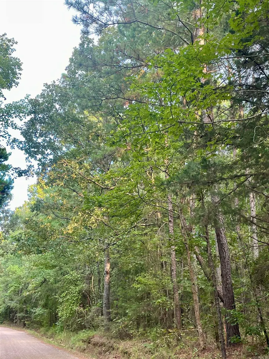 TBD Miller County 32, Doddridge, AR 71834 - Image #3