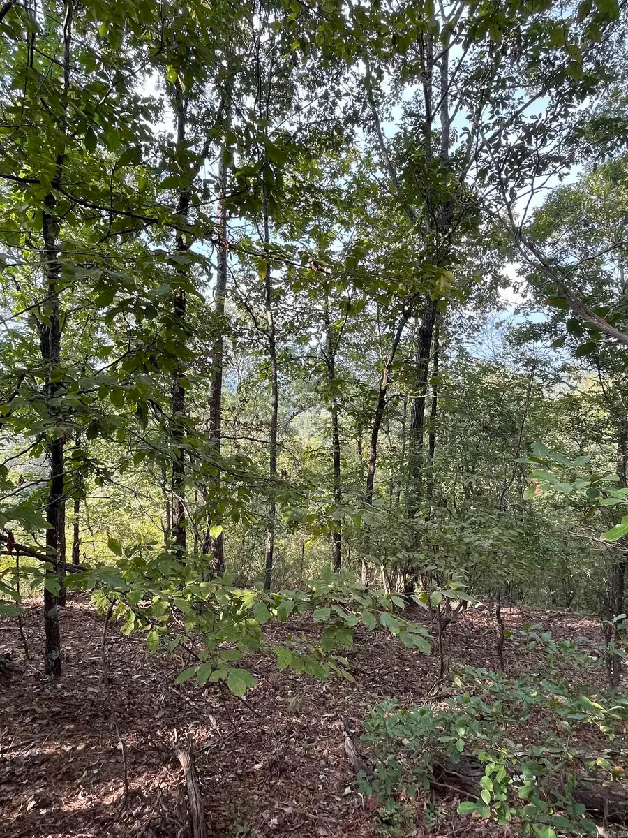 84 N Old Factory Site Road, Murfreesboro, AR 71958 - Image #3