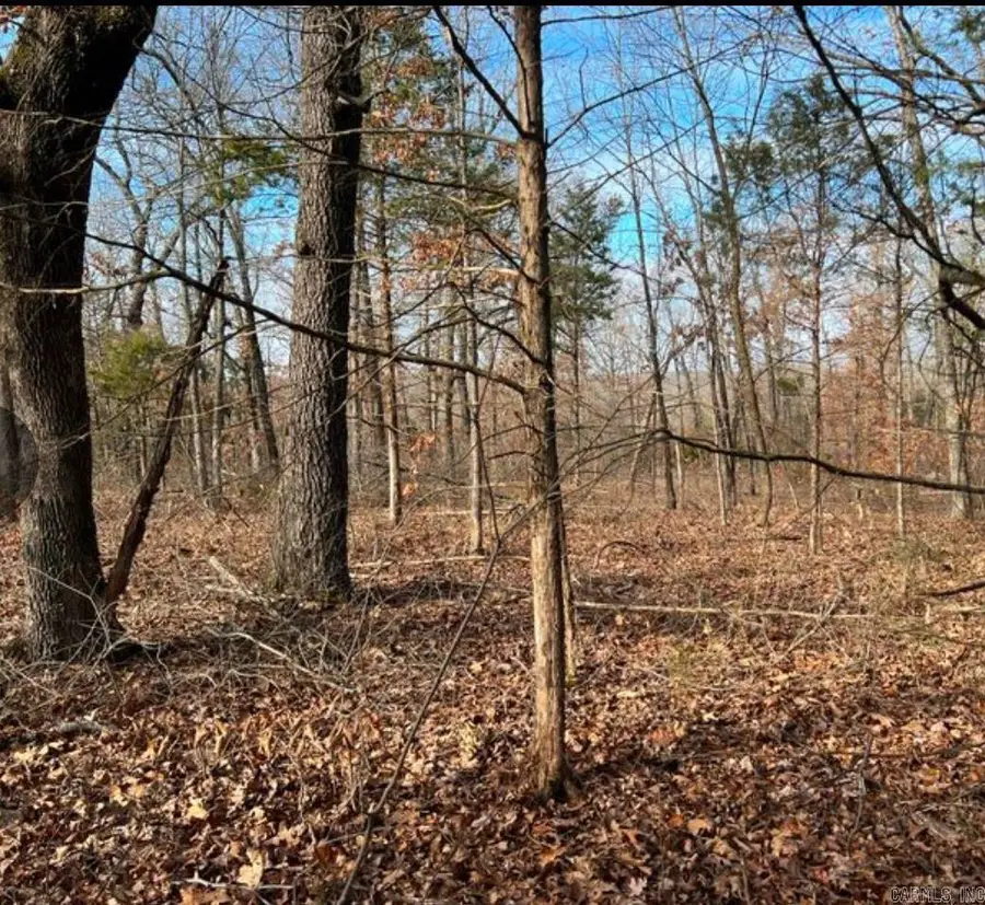 1113 Connection Street, Horseshoe Bend, AR 72512 - Image #2