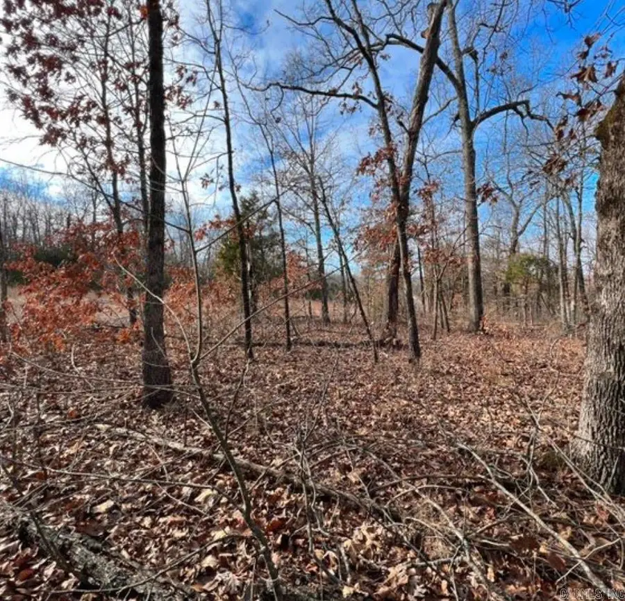 1113 Connection Street, Horseshoe Bend, AR 72512 - Image #3