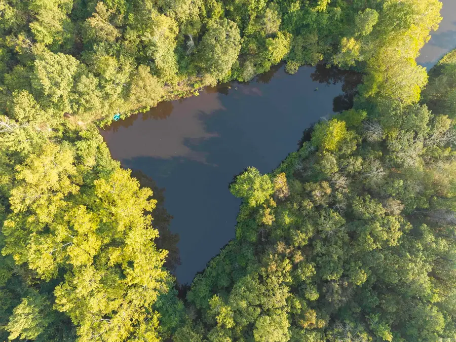 750 Mountain Road, Perryville, AR 72126 - Image #2