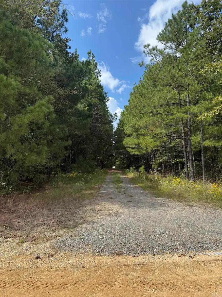 286 Bradley 68 Road, Warren, AR 71671 - Image #3