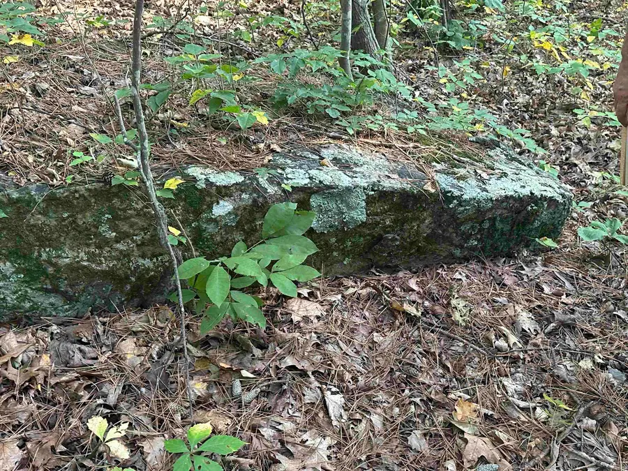 000 Hwy 110, Clinton, AR 72031 - Image #3