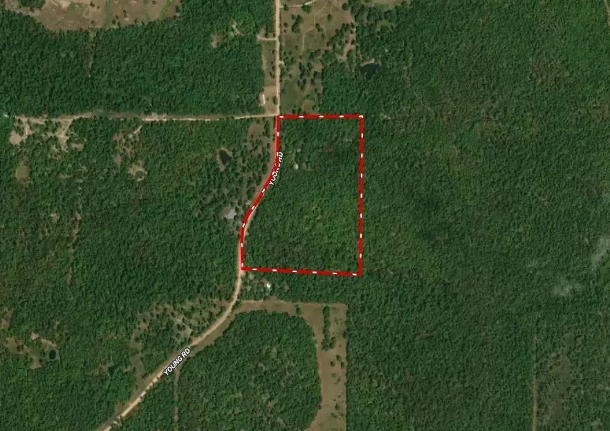 3958 Young Rd, Salem, AR 72576 - Image #2