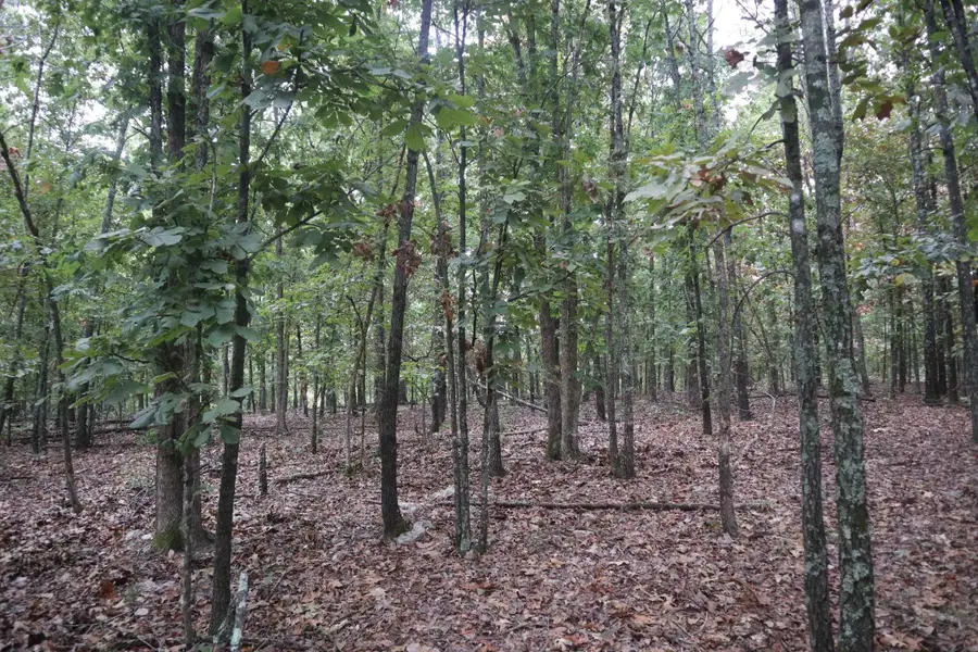 3958 Young Rd, Salem, AR 72576 - Image #3