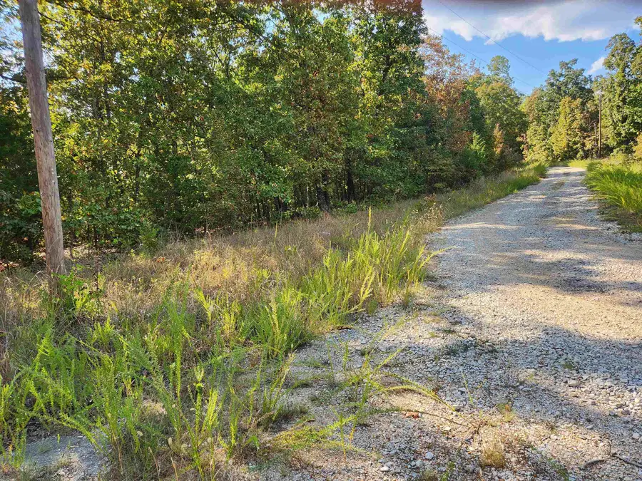 L16B5 Colonino Drive, Cherokee Village, AR 72529 - Image #2