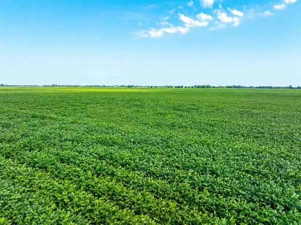 Lawrence 737 And 556, Alicia, AR 72410