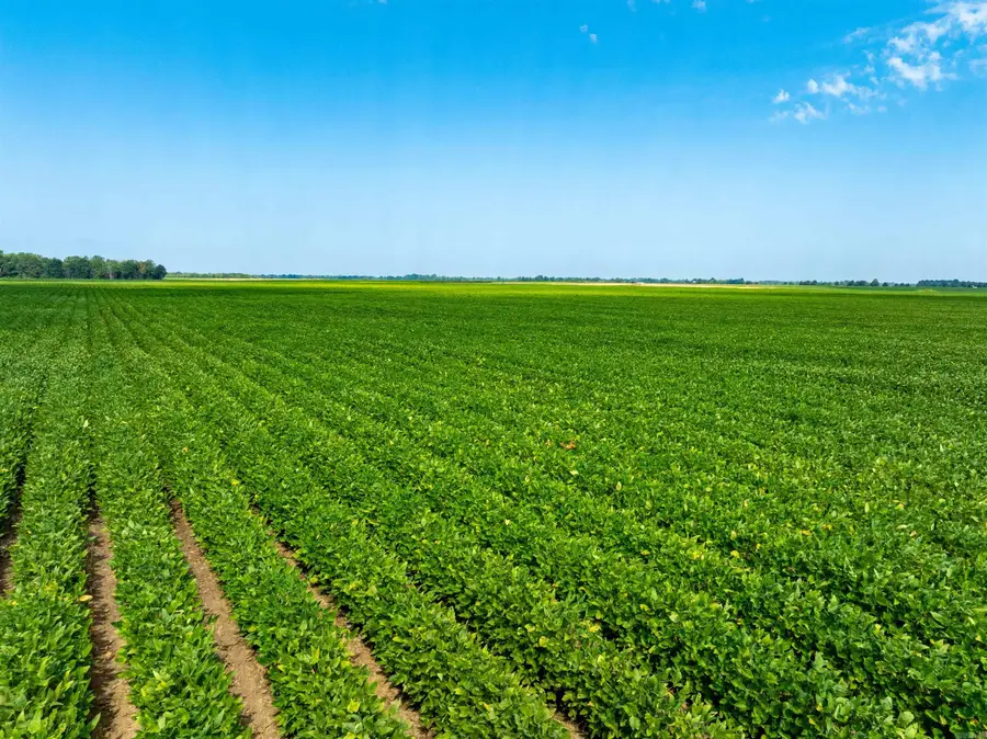 Lawrence 737 And 556, Alicia, AR 72410 - Image #2