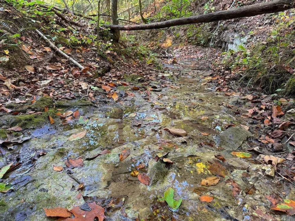 Fawn Drive, Harriet, AR 72639 - Image #1