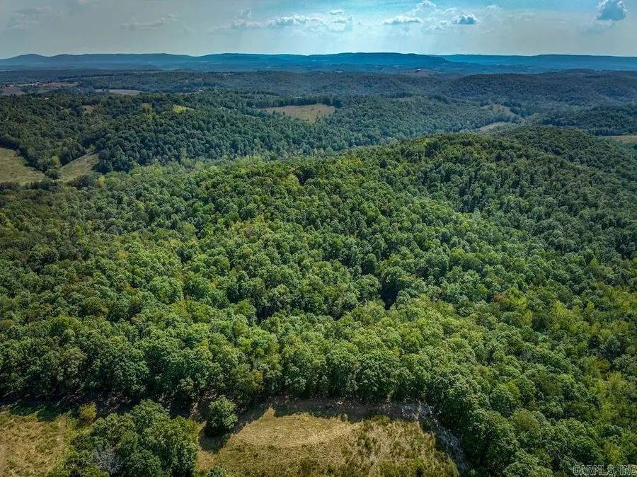 Fawn Drive, Harriet, AR 72639 - Image #2