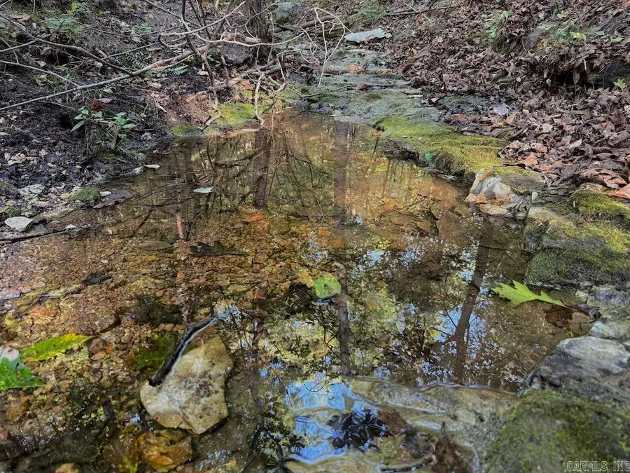 Fawn Drive, Harriet, AR 72639 - Image #3