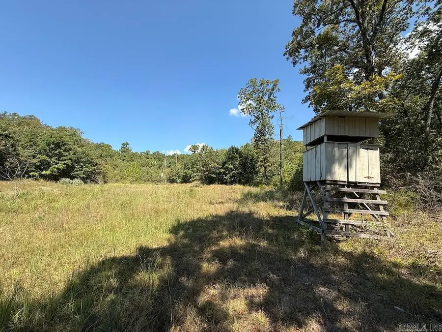 Haw Mountain Cemetery Road, Calico Rock, AR 72519 - Image #2