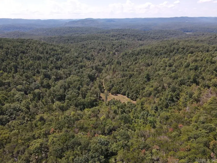 Haw Mountain Cemetery Road, Calico Rock, AR 72519 - Image #3