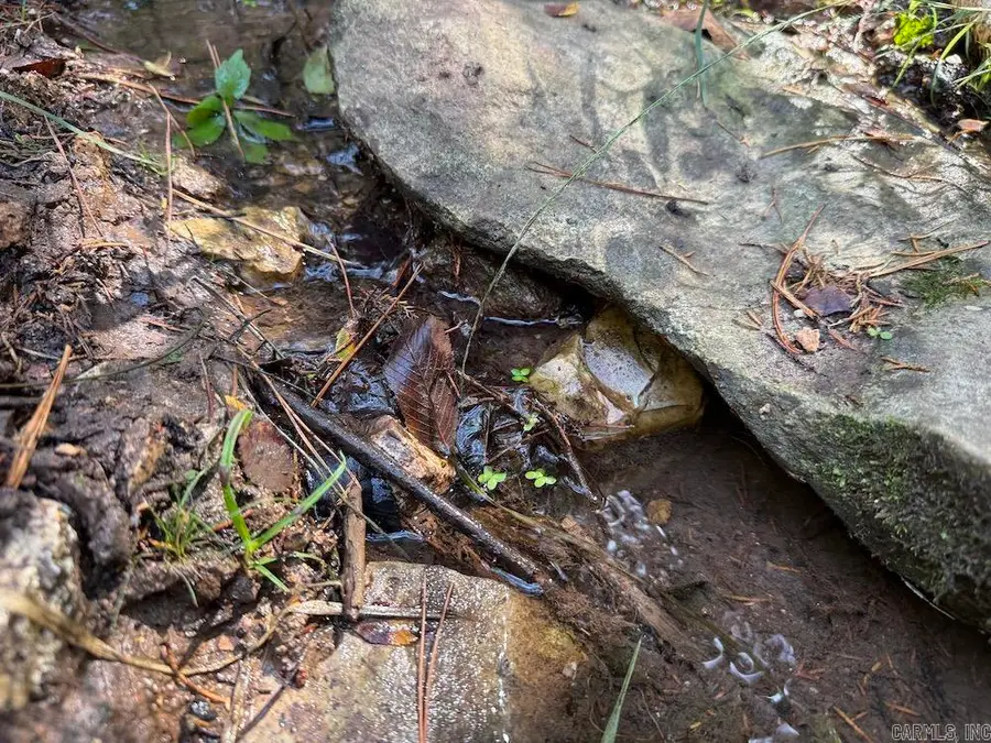 Mc 5026, Yellville, AR 72687 - Image #2