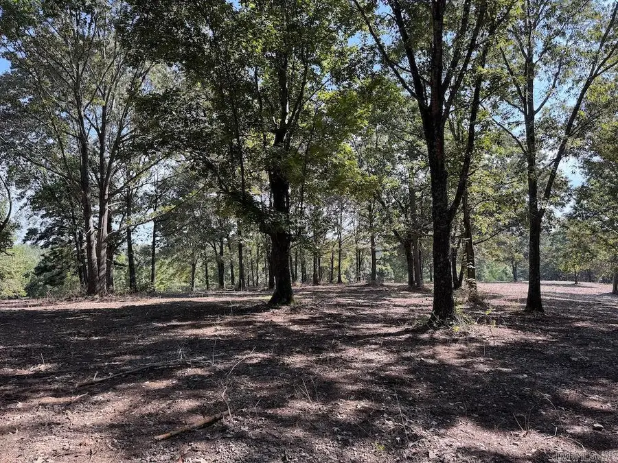 Mc 5026, Yellville, AR 72687 - Image #3