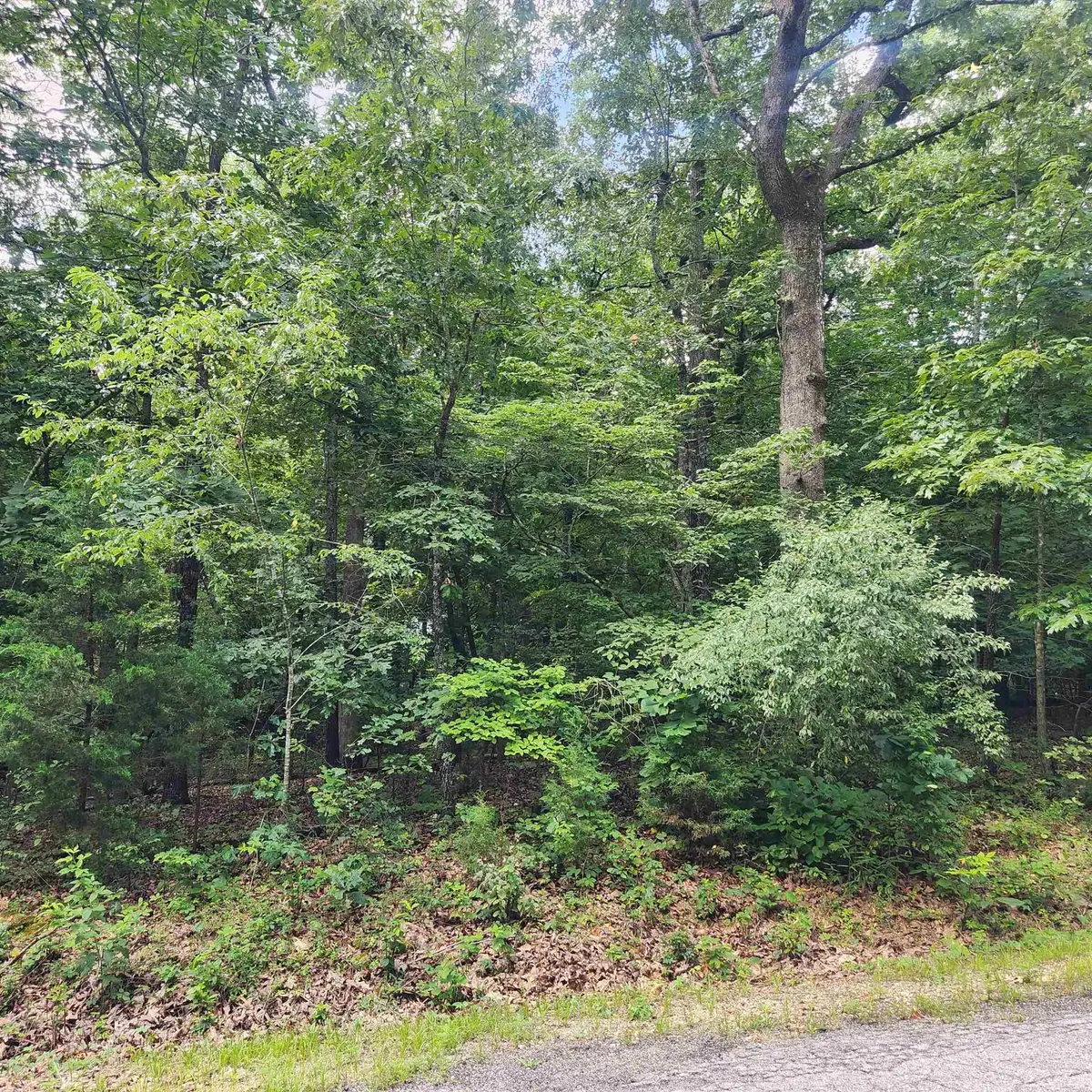 L-42, B-1 Saskatchewan Drive, Cherokee Village, AR 72529 - Image #1