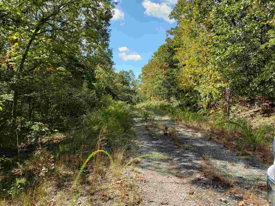 L-55 & 56 B-7 Lochloosa Drive, Cherokee Village, AR 72529 - Image #2